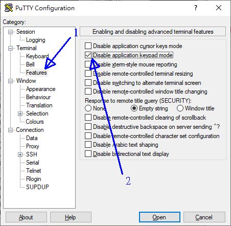 putty 的设置示意图