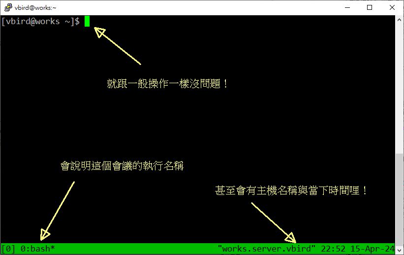 图 10.3.4-1、tmux 启动的画面