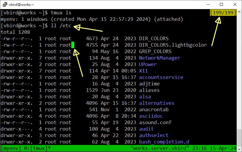 图 10.3.4-2、tmux 在 session 内使用 buffer 功能