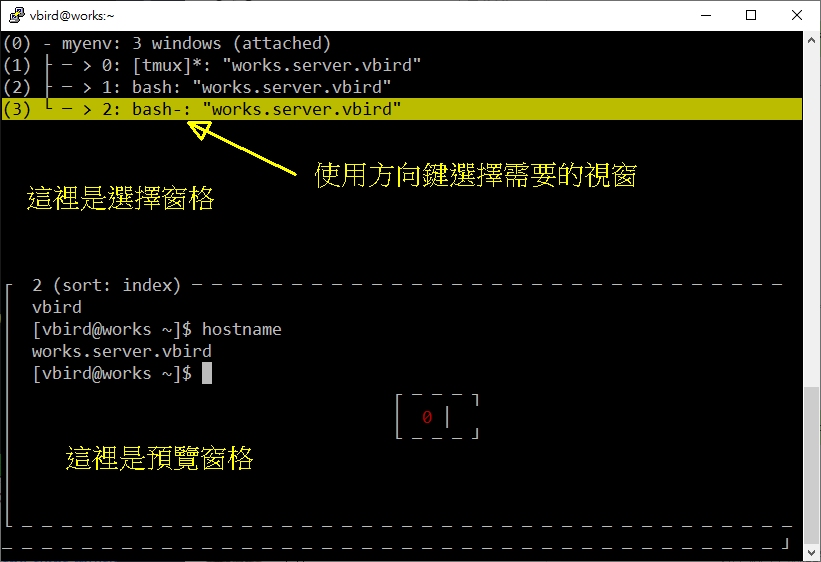 图 10.3.4-6、tmux 选择 window 预览效果示意